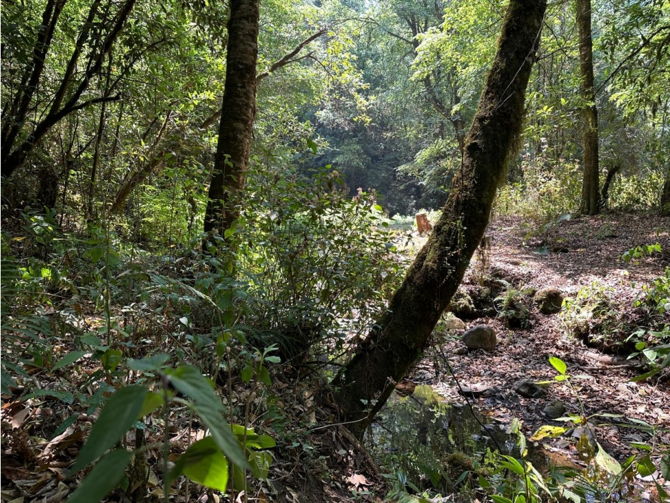 TERRENO CON RIO EN VENTA SAN SIMON — foto 6