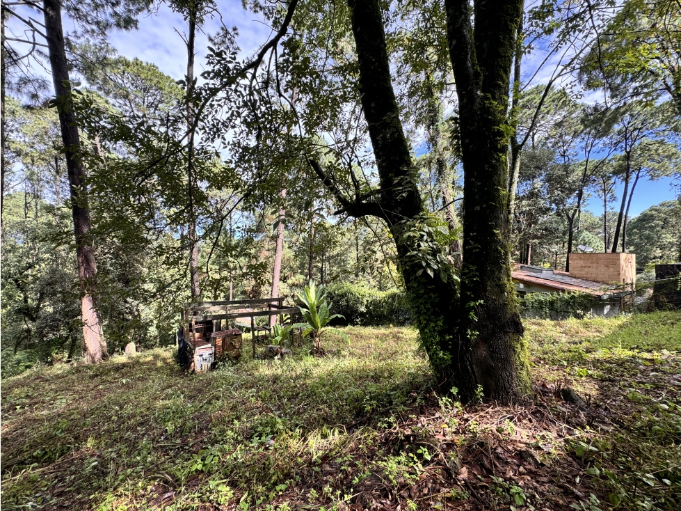 TERRENO EN VENTA | 2,628 m2 | AVANDARO | VALLE DE BRAVO — foto 6