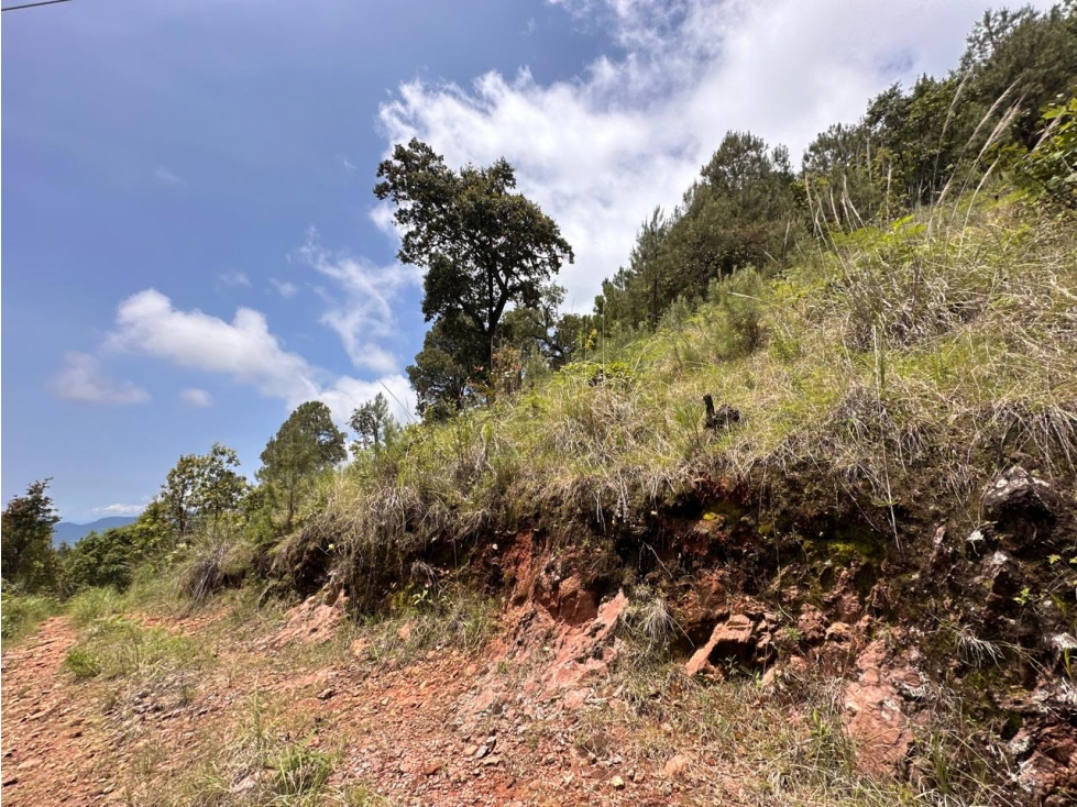 TERRENO EN VENTA SAN GABRIEL IXTLA I VALLE DE BRAVO — foto 3