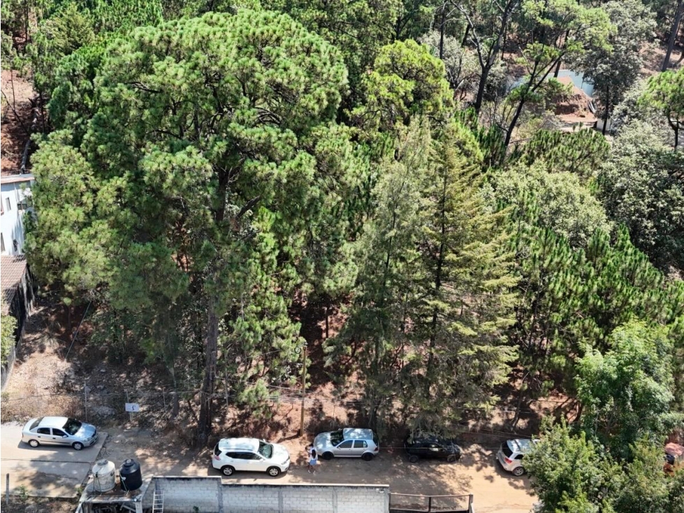 TERRENO EN VENTA I MONTE ALTO I VALLE DE BRAVO — foto 2