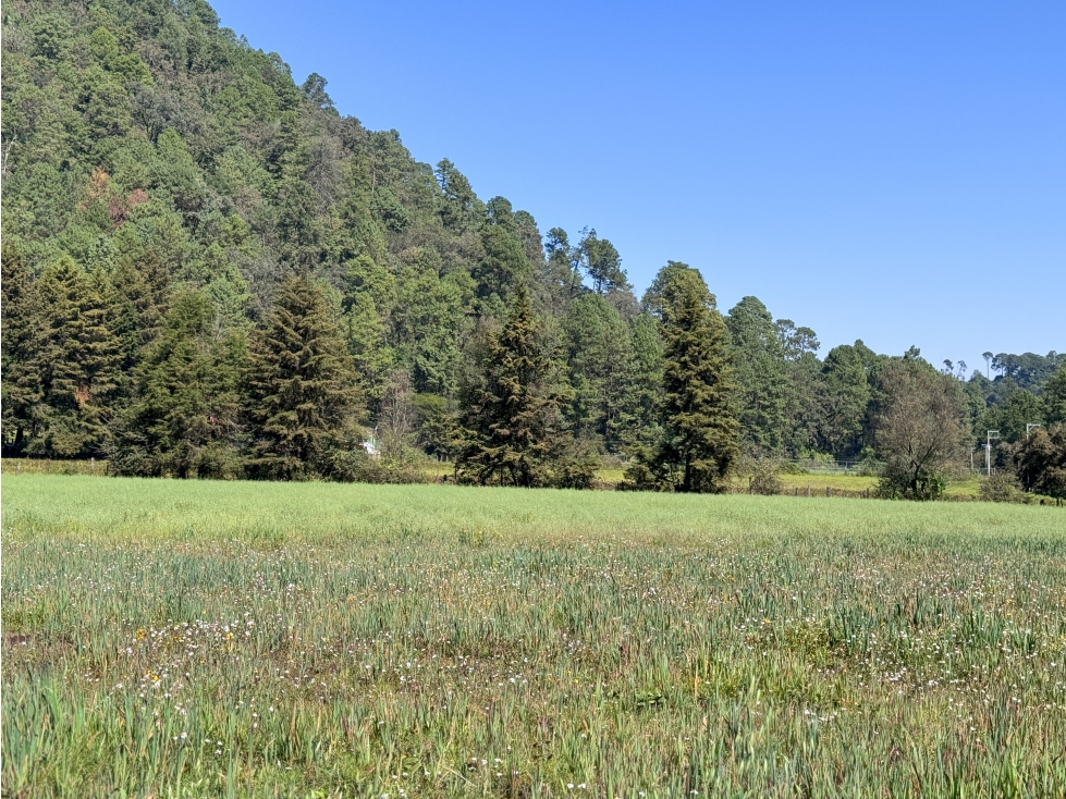 TERRENO EN VENTA EN VALLE DE BRAVO | CERRO GORDO | RANCHO | AVÁNDARO — foto 2