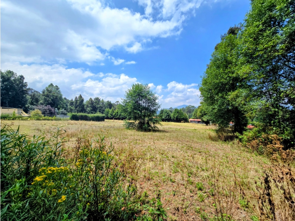 TERRENO EN VENTA SAN SIMON I 2556 M2 — foto 5
