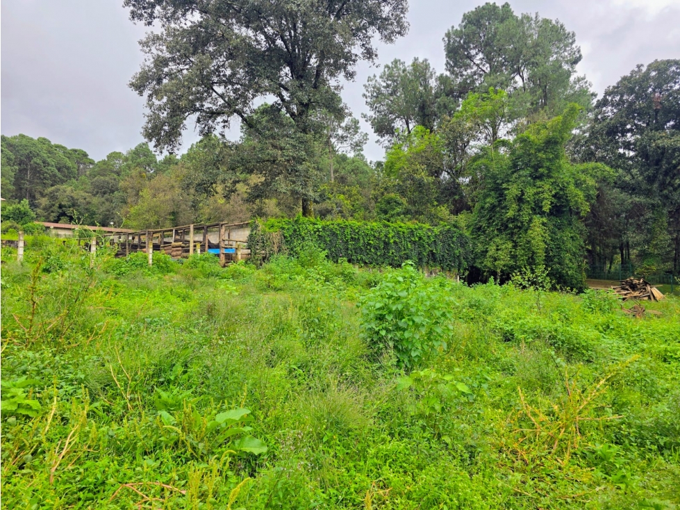 TERRENO EN VENTA I LA JOYA I 1,330 M2 - 4