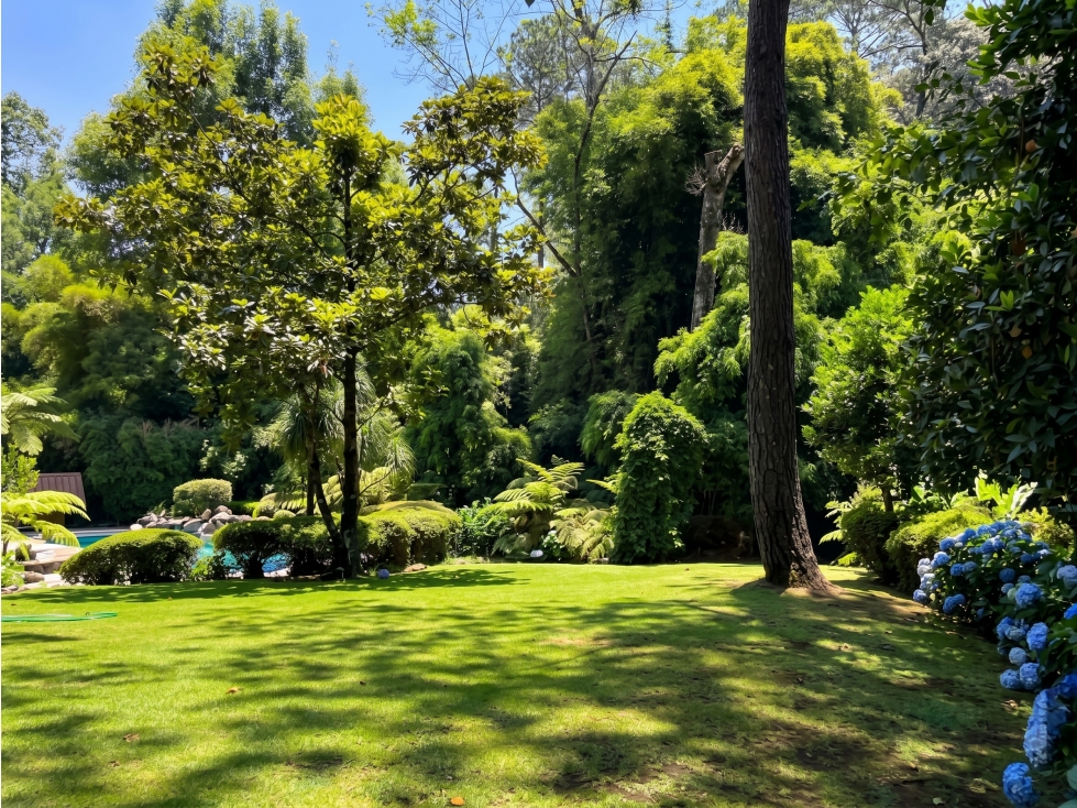 CASA EN VENTA | 4074 M2 DE TERRENO | AVANDARO | CLUB DE GOLF — foto 3