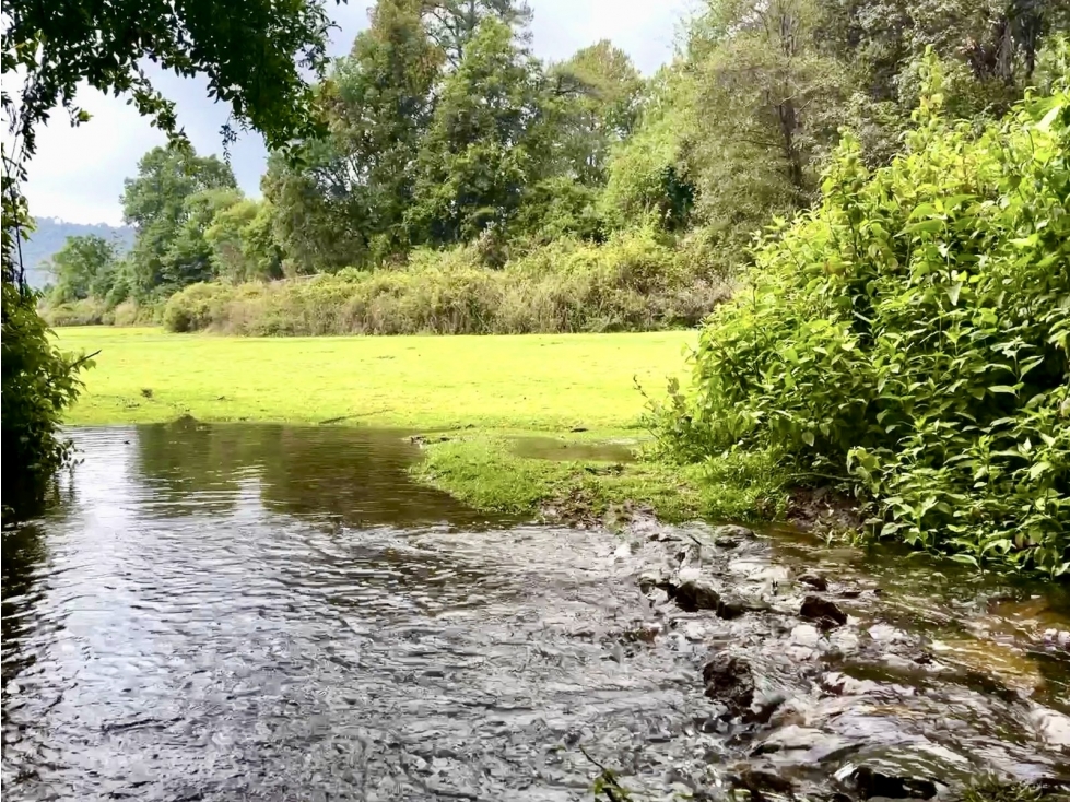 TERRENO EN VENTA | 10 HECTAREAS | AMANALCO | VALLE DE BRAVO - 2