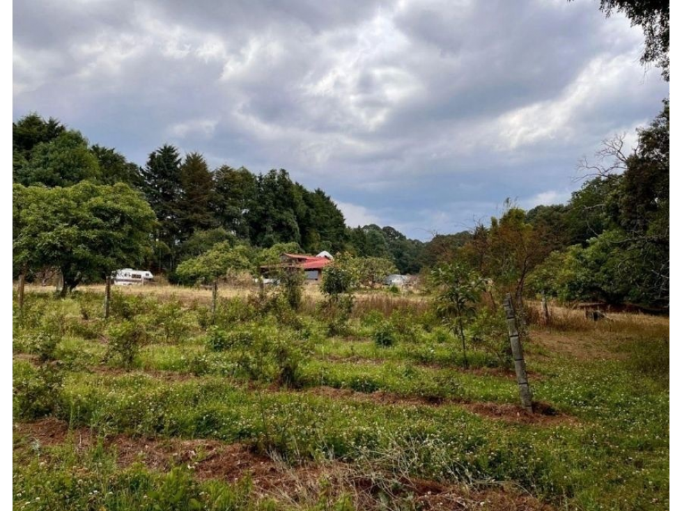 TERRENO EN VENTA | 5,000 M2 | MESA DE JAIMES | VALLE DE BRAVO — foto 4