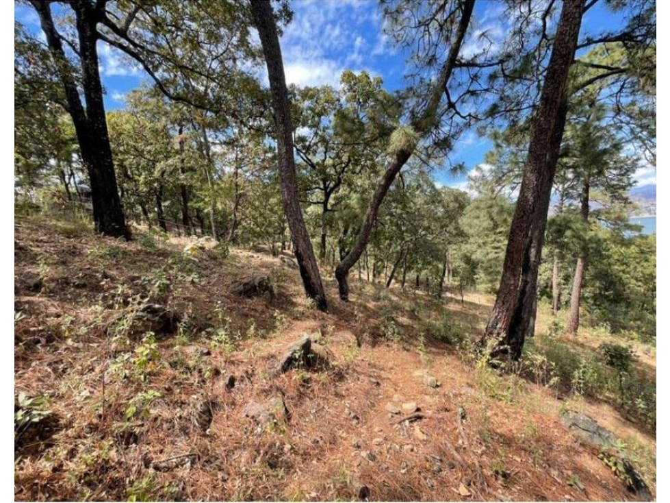 TERRENO EN VENTA Ó APORTACION | 4,580 M2 | AVANDARO - PEDREGAL — foto 4