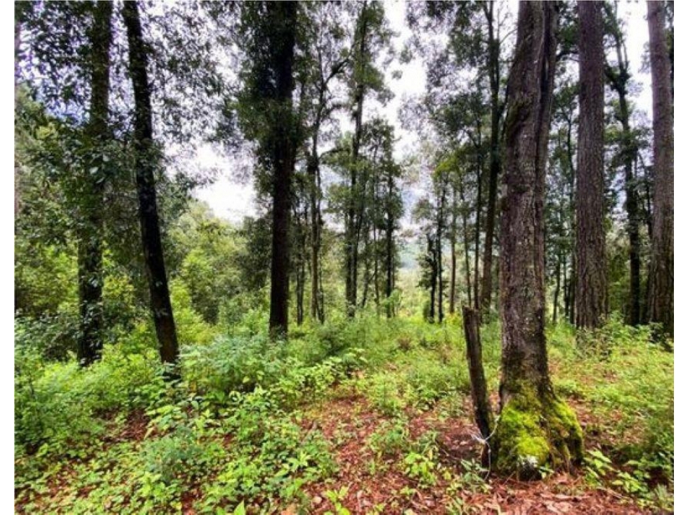 TERRENO EN VENTA | 6,764 M2 | VALLE DE BRAVO | EL MANZANO - 3