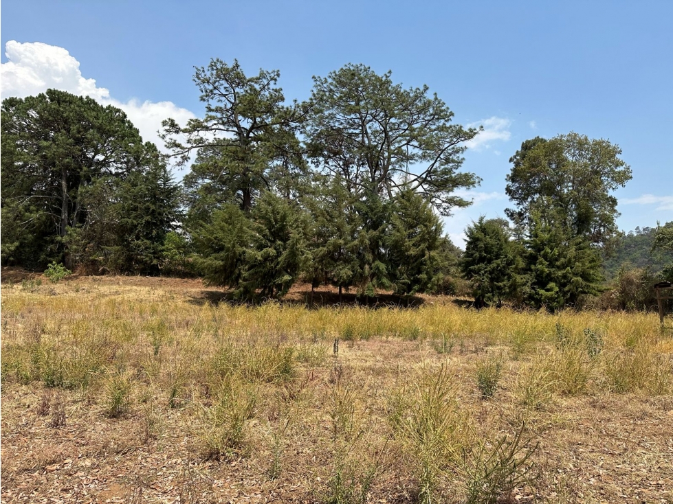 TERRENO EN VENTA | PIPIOLTEPEC | VALLE DE BRAVO — foto 4
