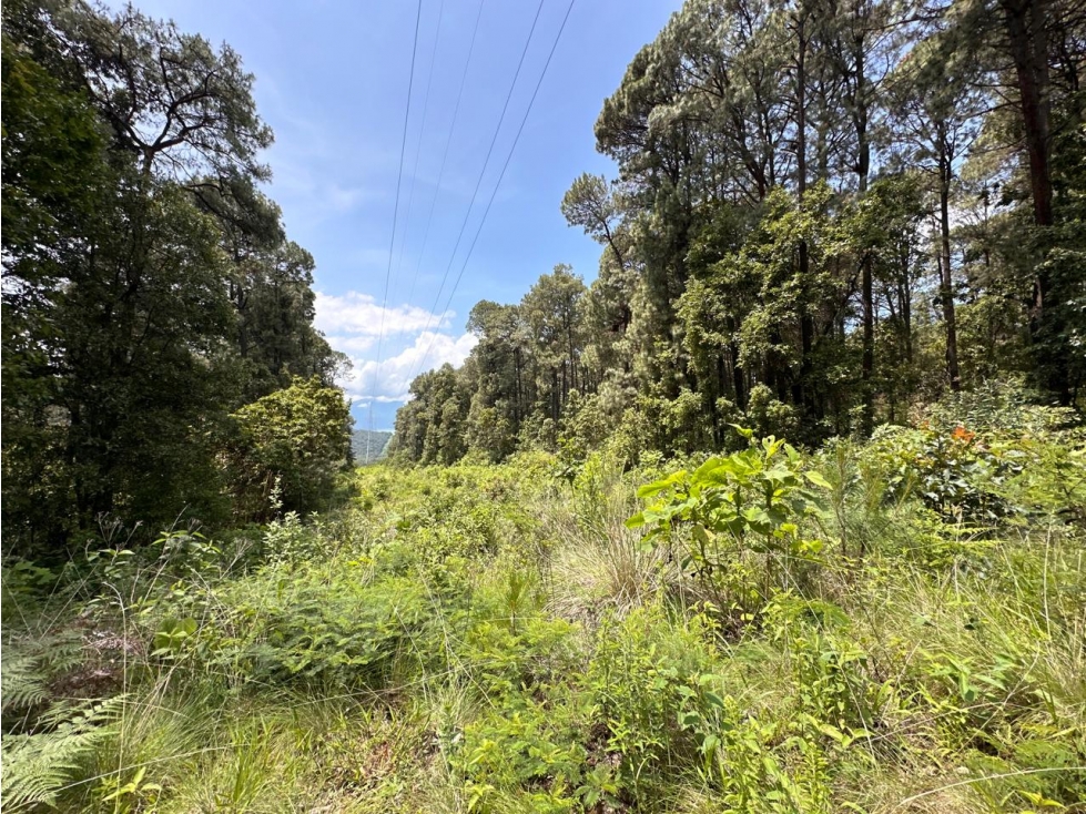 TERRENO EN VENTA SAN GABRIEL IXTLA I VALLE DE BRAVO — foto 4