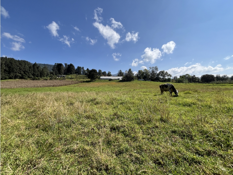 TERRENO EN VENTA I 500M2 PLANO I SAN SIMÓN — foto 2