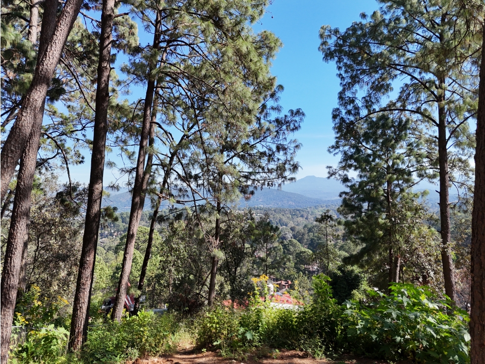 TERRENO EN AVÁNDARO, VALLE DE BRAVO | 1,133 M2 | VISTA A LAS MONTAÑAS — foto 4