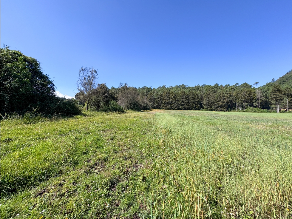 TERRENO EN VENTA EN VALLE DE BRAVO | CERRO GORDO | RANCHO | AVÁNDARO — foto 3
