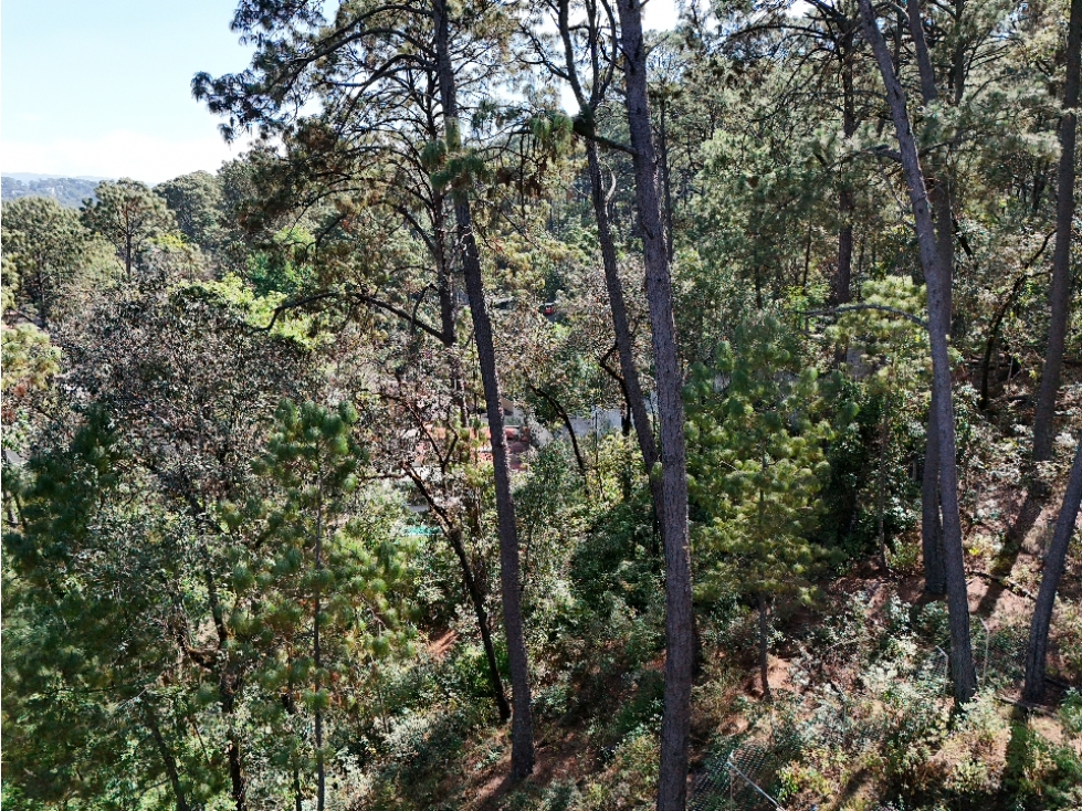 TERRENO EN VENTA | 1761 M2 | CLUB DE GOLF AVÁNDARO | VALLE DE BRAVO — foto 5