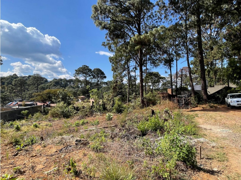 TERRENO EN VENTA I AVANDARO I 843 M2 — foto 6