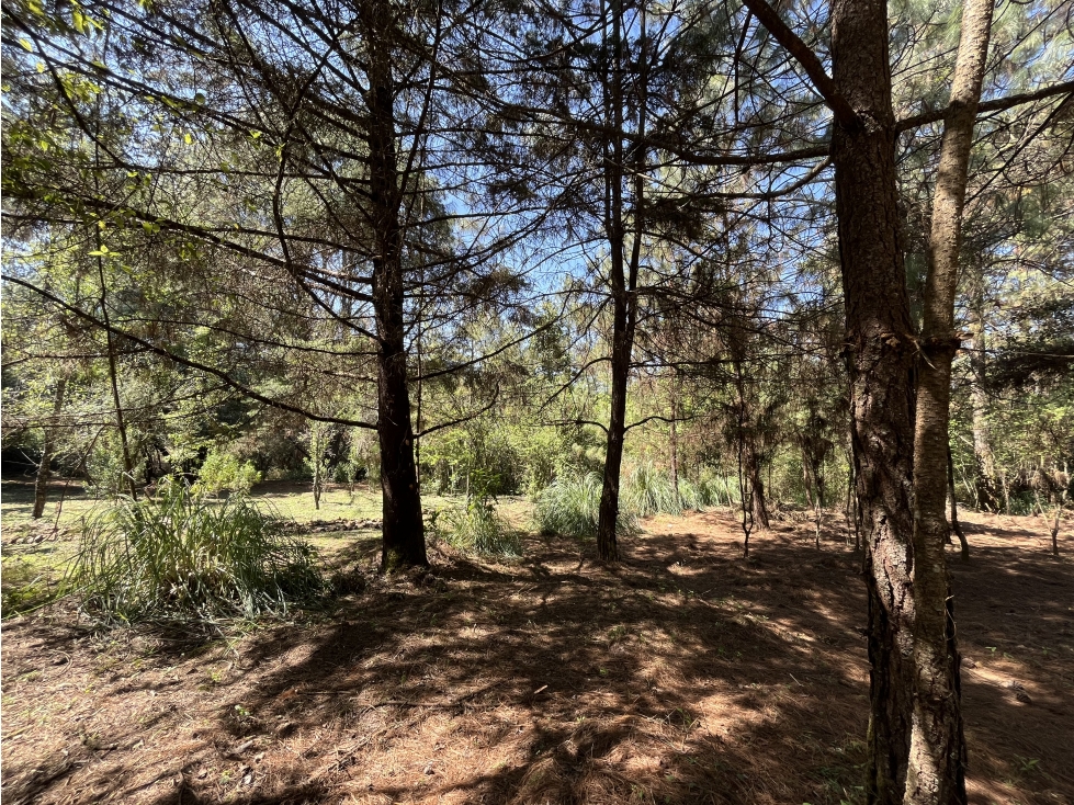 TERRENO EN VENTA I VALLE SANTANA I VALLE DE BRAVO — foto 5