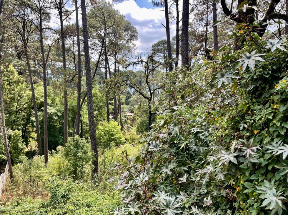 TERRENO EN VENTA I AVANDARO I 2000 M2 — foto 4