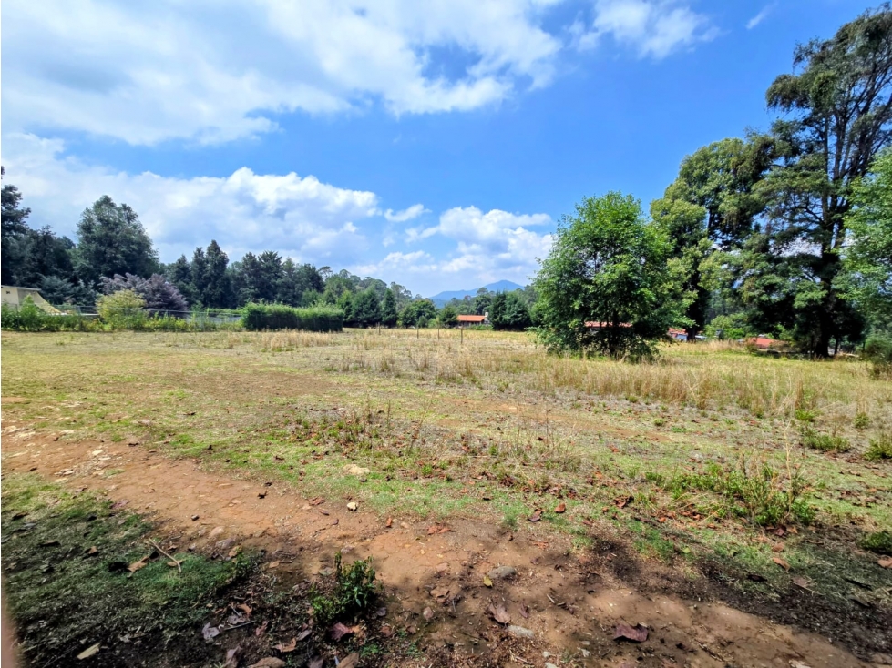 TERRENO EN VENTA SAN SIMON I 2556 M2 — foto 4