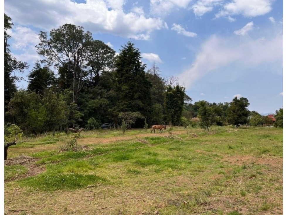 TERRENO EN VENTA | 5,000 M2 | MESA DE JAIMES | VALLE DE BRAVO — foto 5