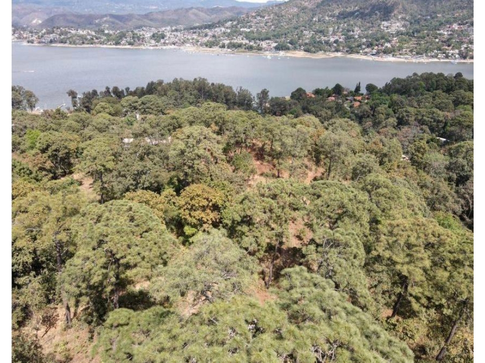TERRENO EN VENTA Ó APORTACION | 4,580 M2 | AVANDARO - PEDREGAL — foto 5