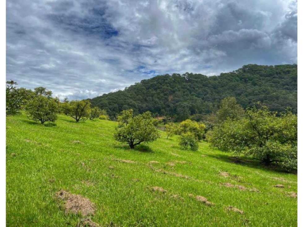 TERRENO EN VENTA | 28,300 M2 | EL CERRILLO |VALLE DE BRAVO — foto 2