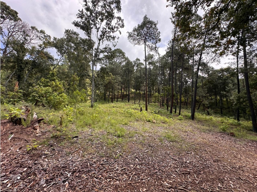 TERRENO EN VENTA SAN GABRIEL IXTLA I VALLE DE BRAVO — foto 5