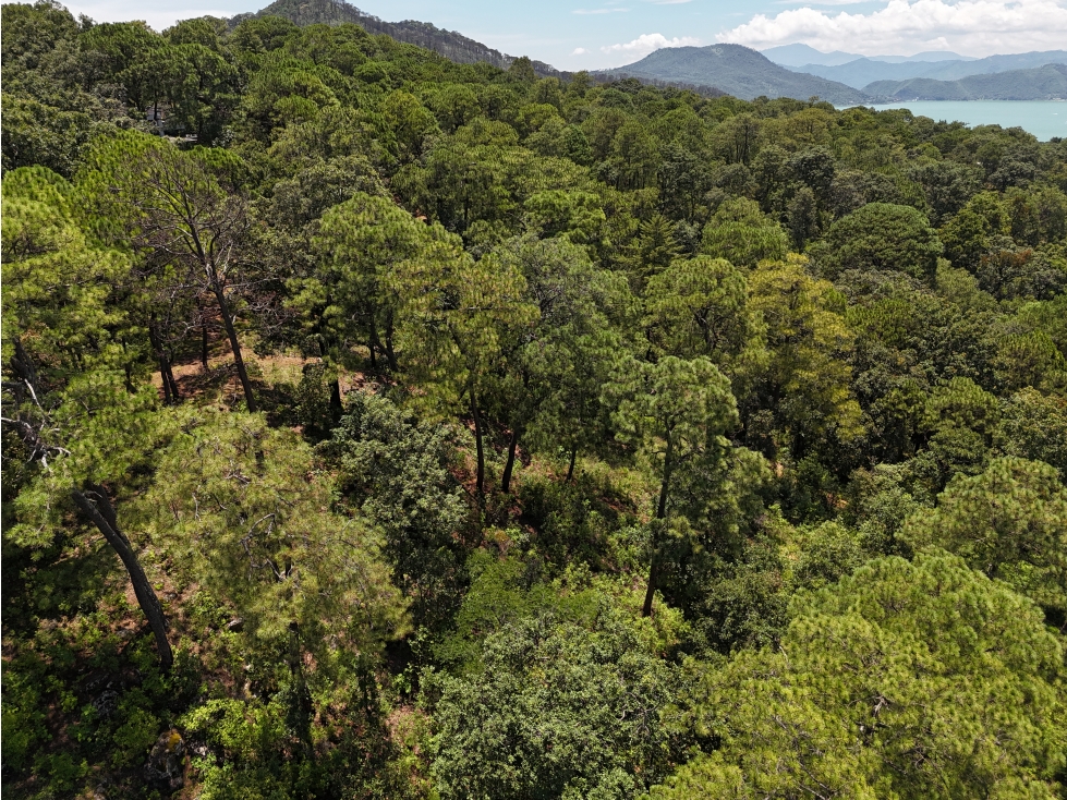 TERRENO EN VENTA | 4,113 M2 | AVANDARO - EL PEDREGAL — foto 5