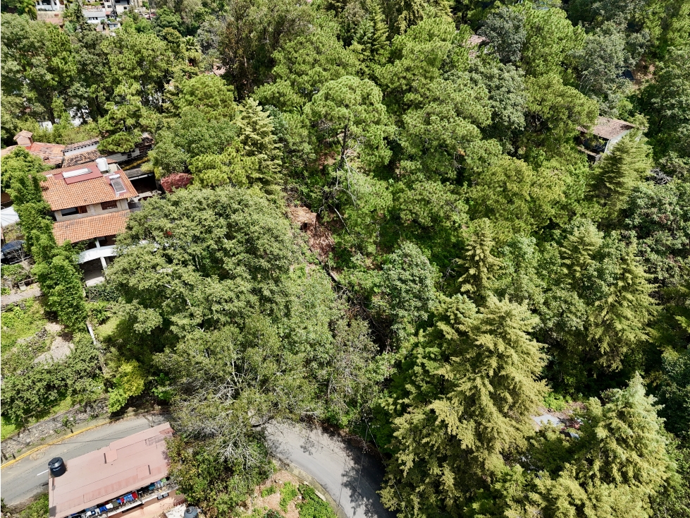 TERRENO EN VENTA | 4,042m2 | VISTA BOSCOSA — foto 4