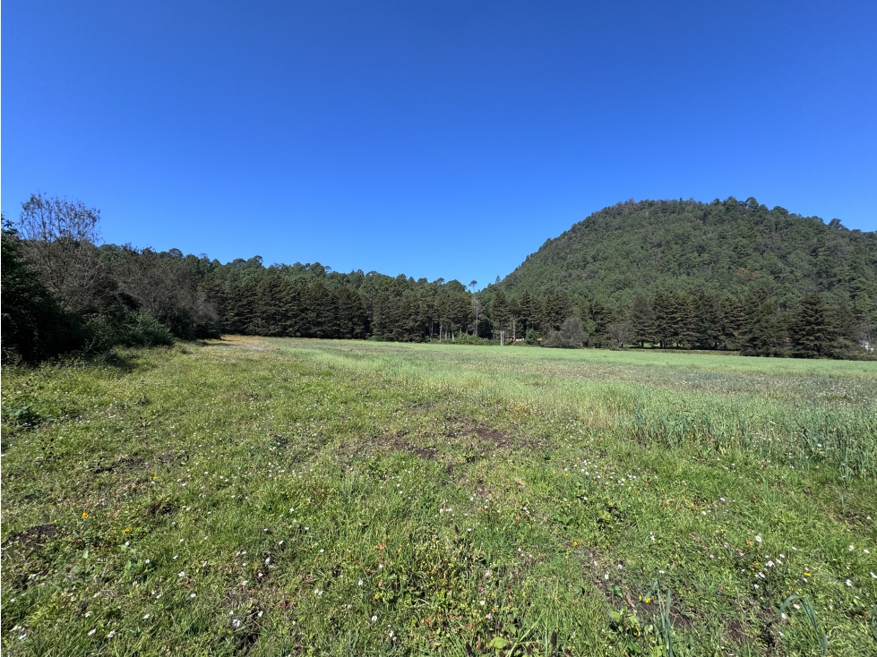 TERRENO EN VENTA EN VALLE DE BRAVO | CERRO GORDO | RANCHO | AVÁNDARO — foto 4
