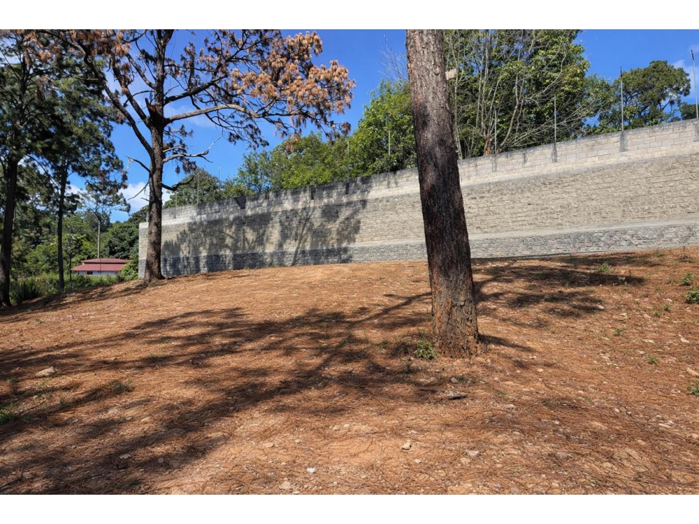 TERRENO EN VENTA I AVANDARO I 843 M2 — foto 3