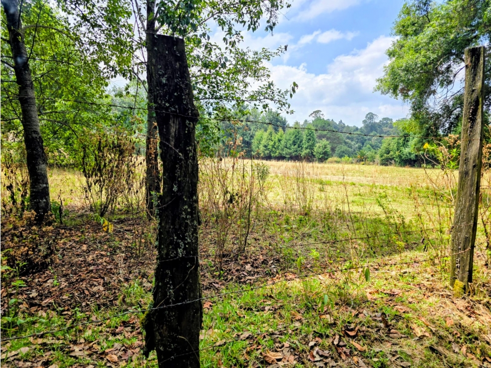 TERRENO EN VENTA SAN SIMON I 2556 M2 — foto 6
