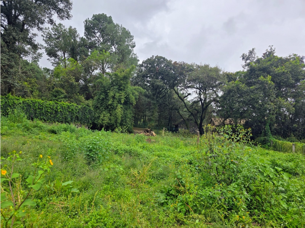 TERRENO EN VENTA I LA JOYA I 1,330 M2 - 6