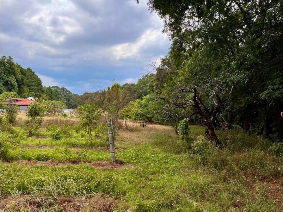 TERRENO EN VENTA | 2,500 m2 | VALLE DE BRAVO | MESA DE JAIMES — foto 2