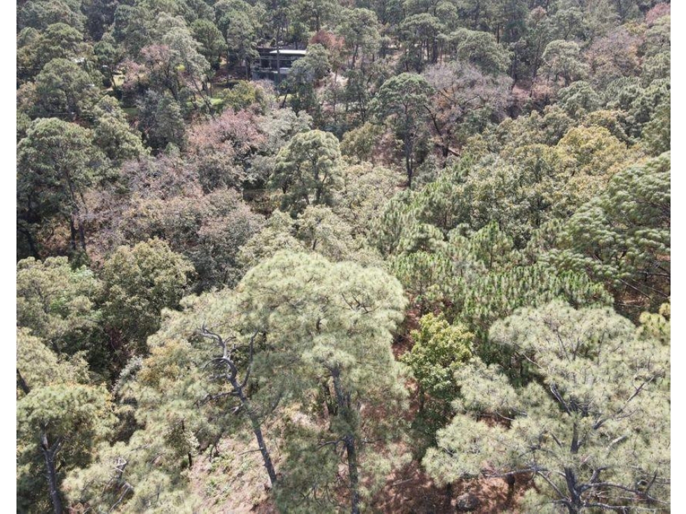 TERRENO EN VENTA Ó APORTACION | 4,580 M2 | AVANDARO - PEDREGAL — foto 6