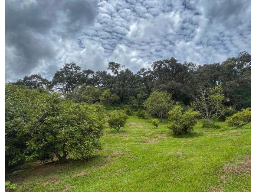 TERRENO EN VENTA | 28,300 M2 | EL CERRILLO |VALLE DE BRAVO — foto 6