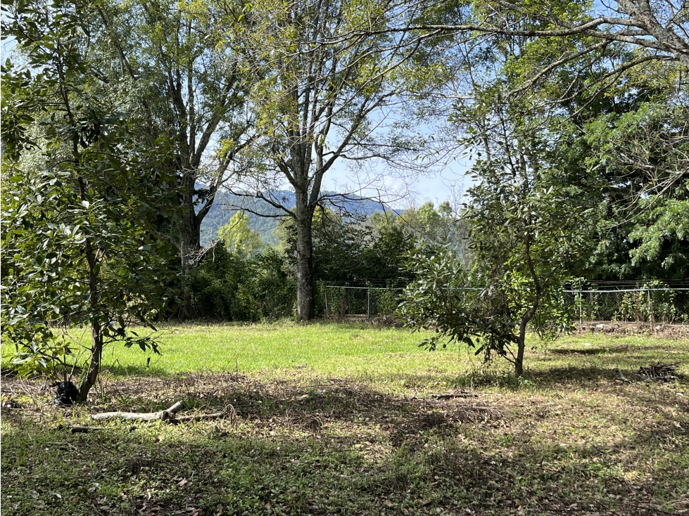 TERRENO EN VENTA EN ATEZCAPAN, VALLE DE BRAVO, HUERTA DE AGUACATES — foto 2