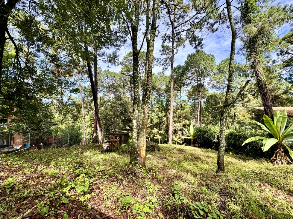 TERRENO EN VENTA | 2,628 m2 | AVANDARO | VALLE DE BRAVO — foto 5