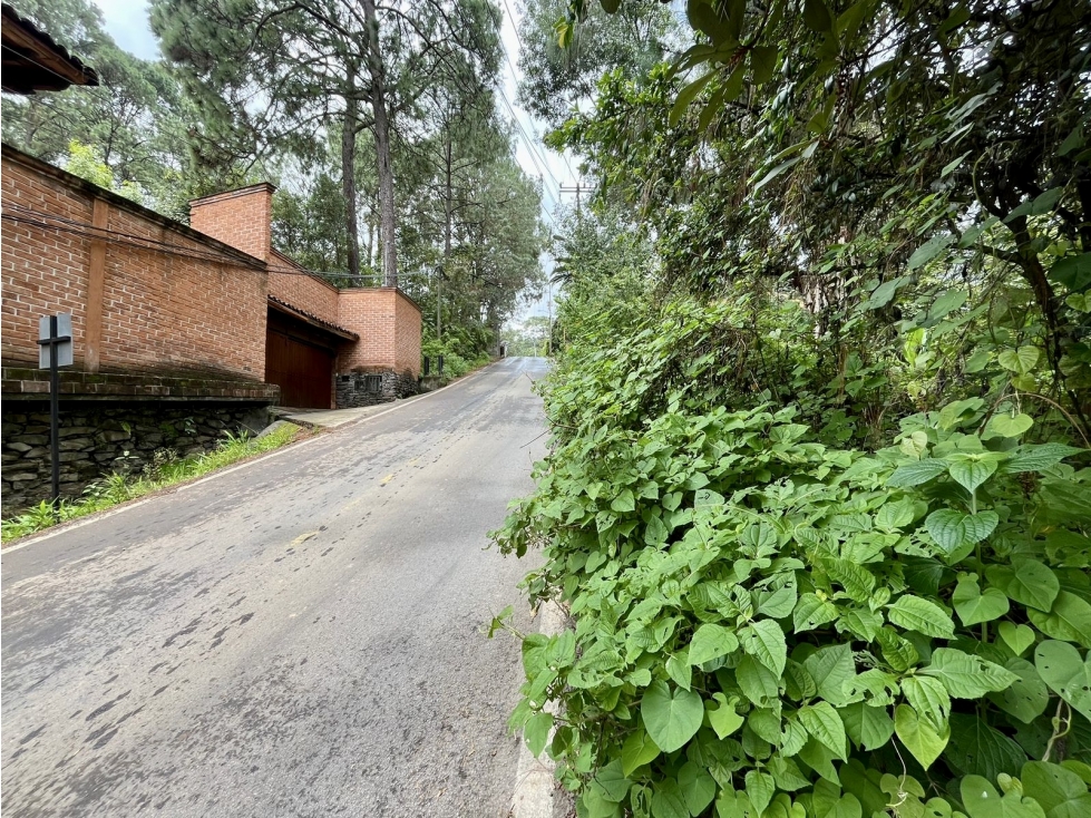 TERRENO EN VENTA | LOTE 1 | AVANDARO — foto 4