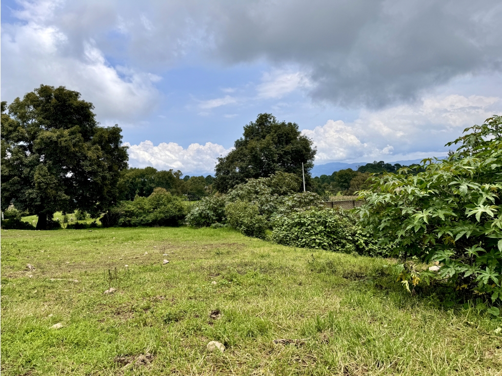 TERRENO EN VENTA | 3,000 M2 | CERRO GORDO | VALLE DE BRAVO — foto 6