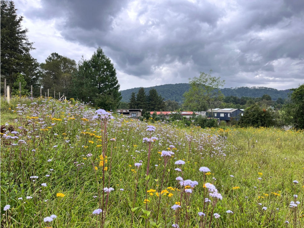 TERRENO EN VENTA EN ACATITLÁN | 901 M2 | VALLE DE BRAVO — foto 2