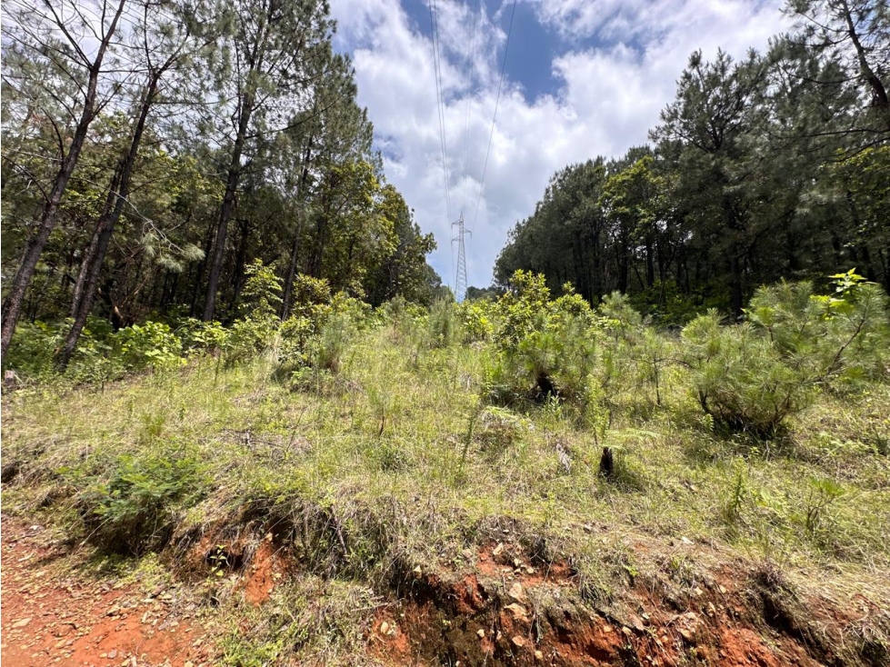 TERRENO EN VENTA SAN GABRIEL IXTLA I VALLE DE BRAVO — foto 6