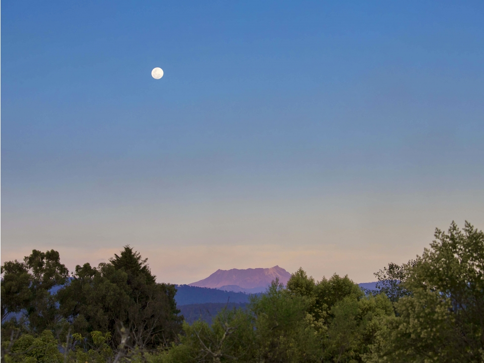 LOTES CAMPESTRES EN VALLE DE BRAVO | RESERVA B33 — foto 4
