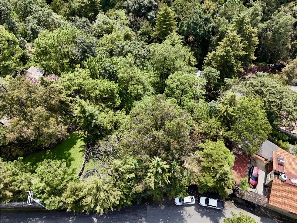 TERRENO EN VENTA | 4,042m2 | VISTA BOSCOSA — foto 5