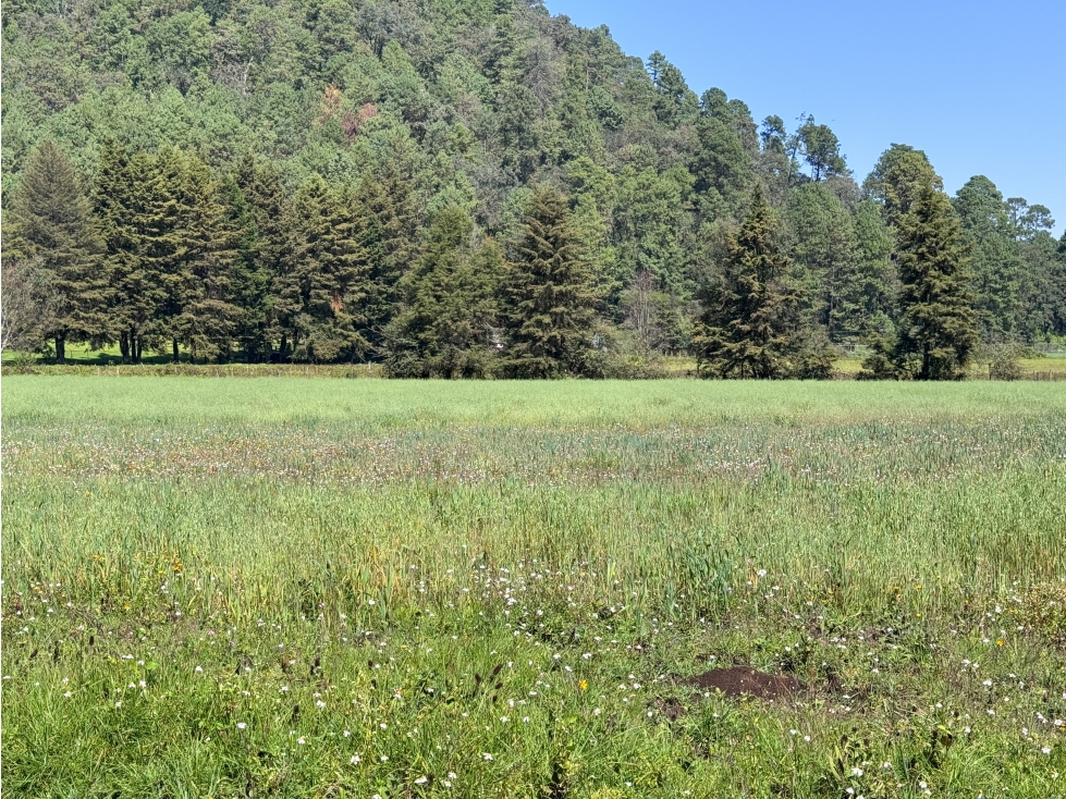 TERRENO EN VENTA EN VALLE DE BRAVO | CERRO GORDO | RANCHO | AVÁNDARO — foto 5