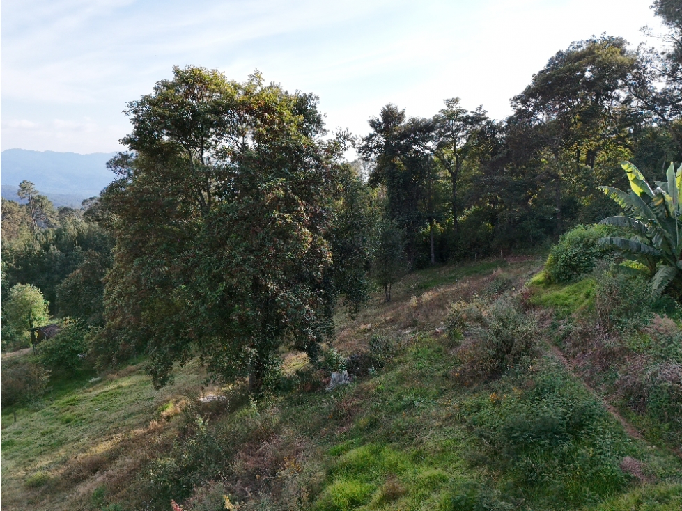 TERRENO EN VENTA | 15 MIN DE RANCHO AVÁNDARO | VISTA A LAS MONTAÑAS — foto 6