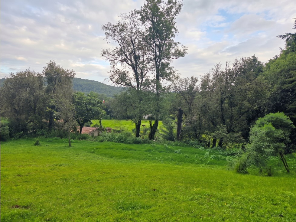 TERRENO EN VENTA I LAS JOYAS I VISTA A LA NATURALEZA - 6