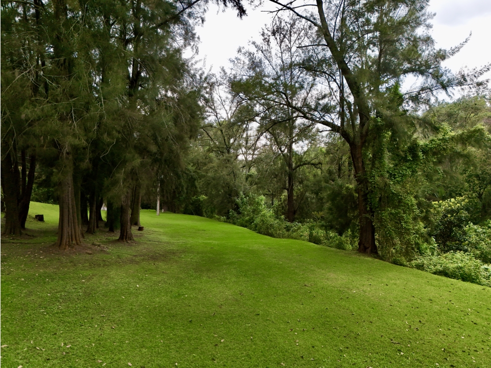 TERRENO EN VENTA | 2,037 M2 | VALLE DE BRAVO - 5