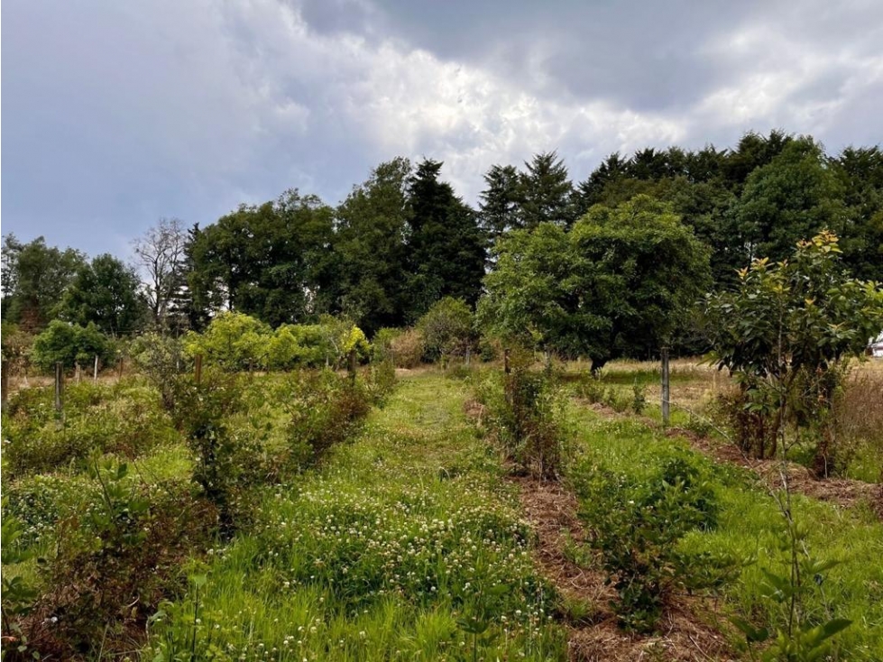 TERRENO EN VENTA | 2,500 m2 | VALLE DE BRAVO | MESA DE JAIMES — foto 4