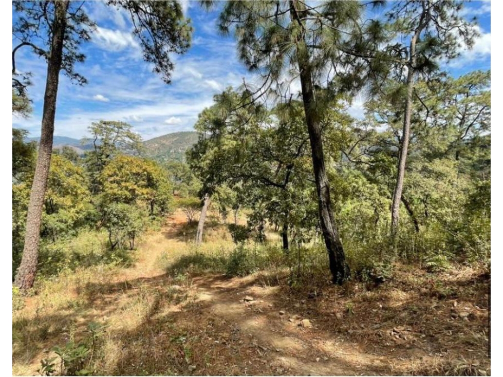 TERRENO EN VENTA Ó APORTACION | 4,580 M2 | AVANDARO - PEDREGAL — foto 2