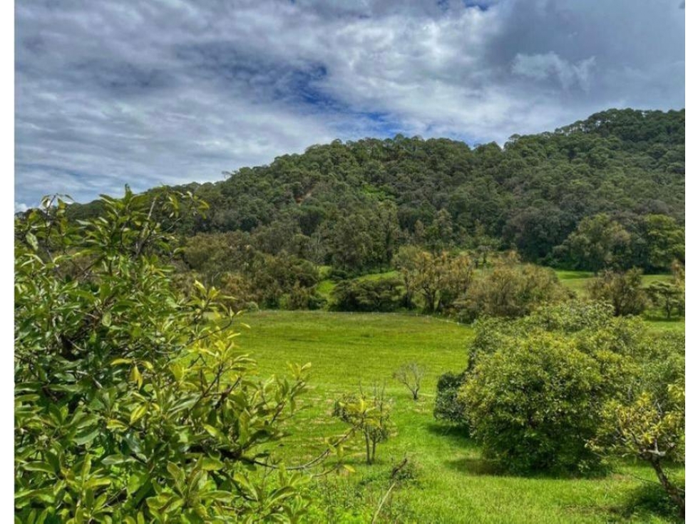 TERRENO EN VENTA | 28,300 M2 | EL CERRILLO |VALLE DE BRAVO — foto 4